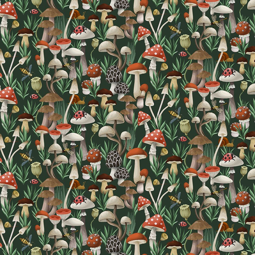 MOTH TO A FLAME - THE FUNGI KINGDOM || FOREST || Dear Stella