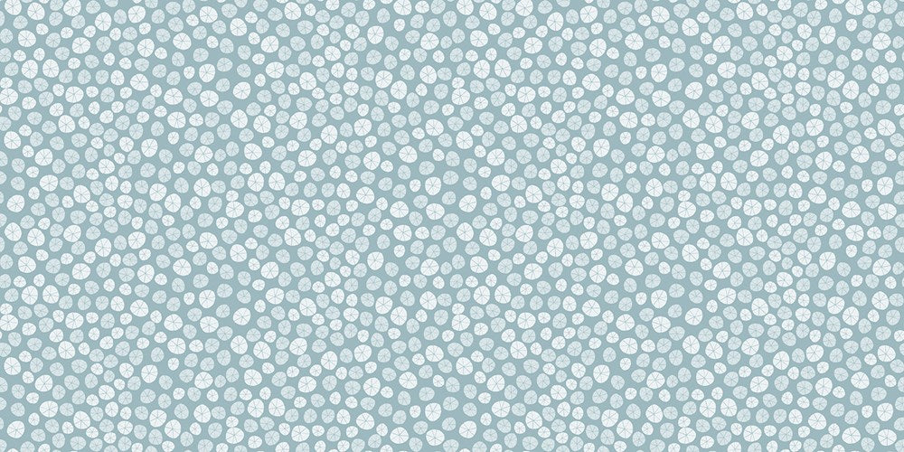 BEYOND THE SEA - SAND DOLLARS || SKY || Dear Stella