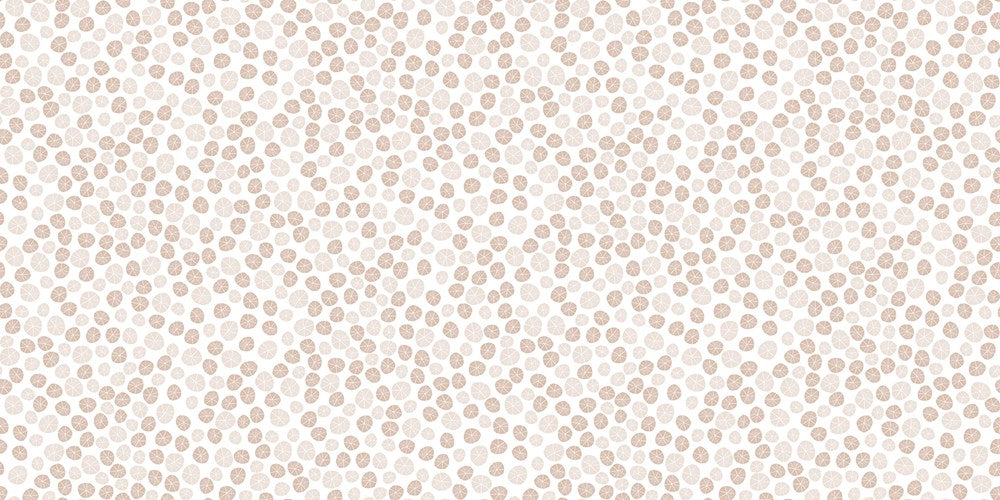 BEYOND THE SEA - SAND DOLLARS || WHITE || Dear Stella
