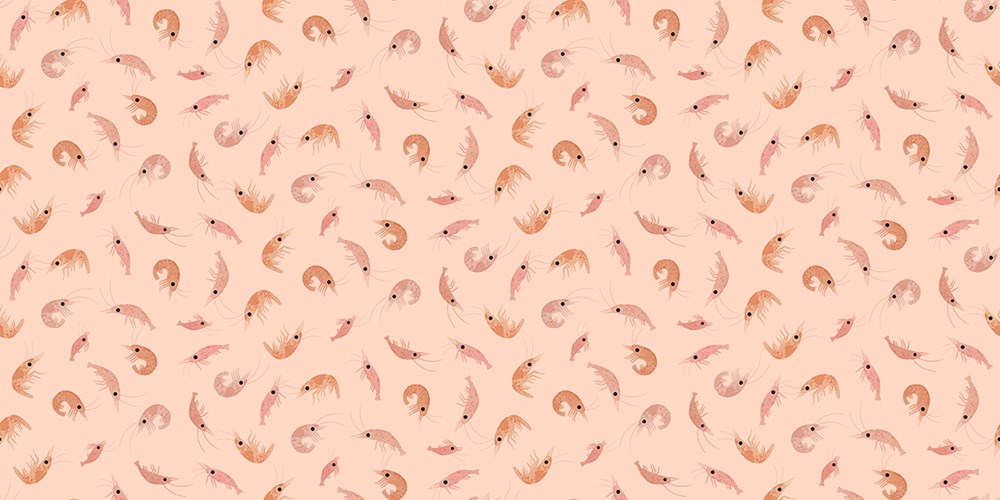 BEYOND THE SEA - SHRIMPLY THE BEST || BELLINI || Dear Stella