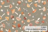 COUNT ON ME - FUNGI || HEDGE || Dear Stella
