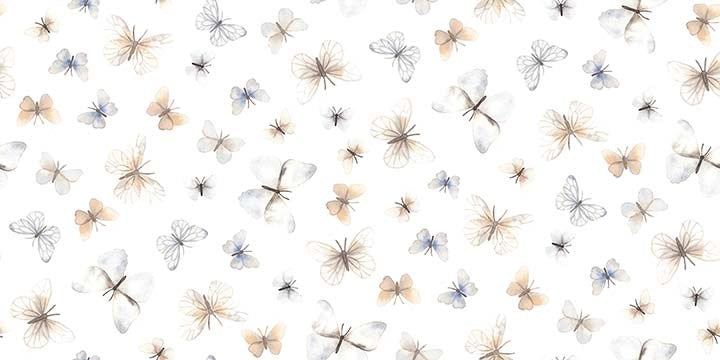 ABCS OF LOVE - FLUTTER || WHITE || Dear Stella