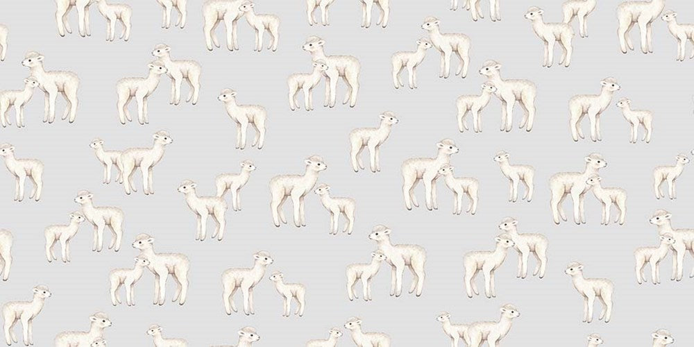 ABCS OF LOVE - WOOLY WONDERS || ASH || Dear Stella