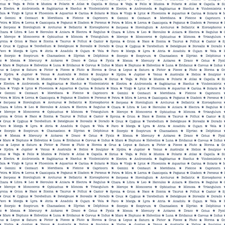 MEOWTER SPACE - NIGHT SKY || NAVY || Dear Stella