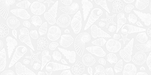 MONOCHROME - SHELL YEAH || WHITE || Dear Stella