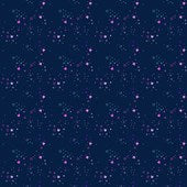 quilt back, wide backS - 108 INCH - KITTY LITTER || SPACE || Dear Stella