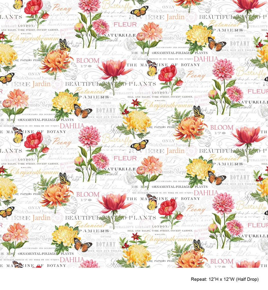 MID SCALE FLORAL - WHITE MULTI II MORNING BLOSSOM