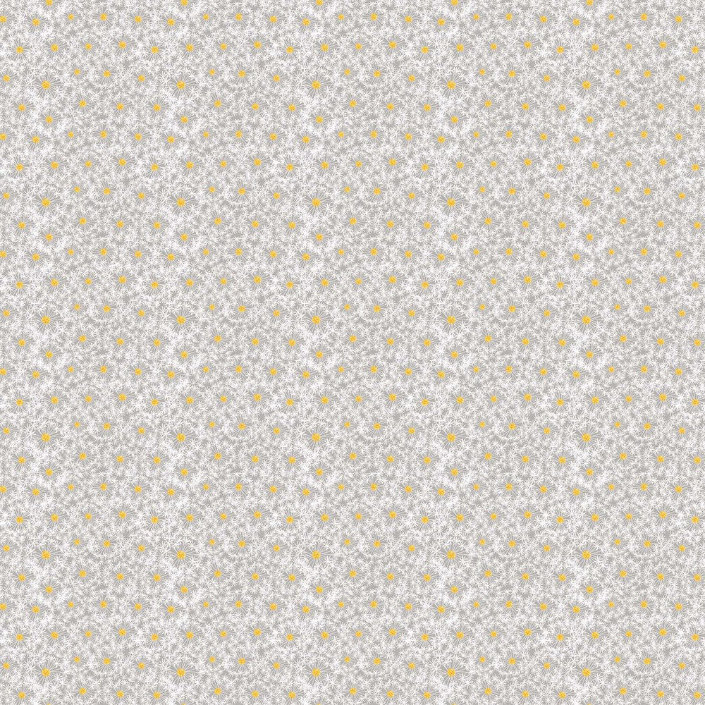 DANDELION WISH - LIGHT GRAY II BEECROFT