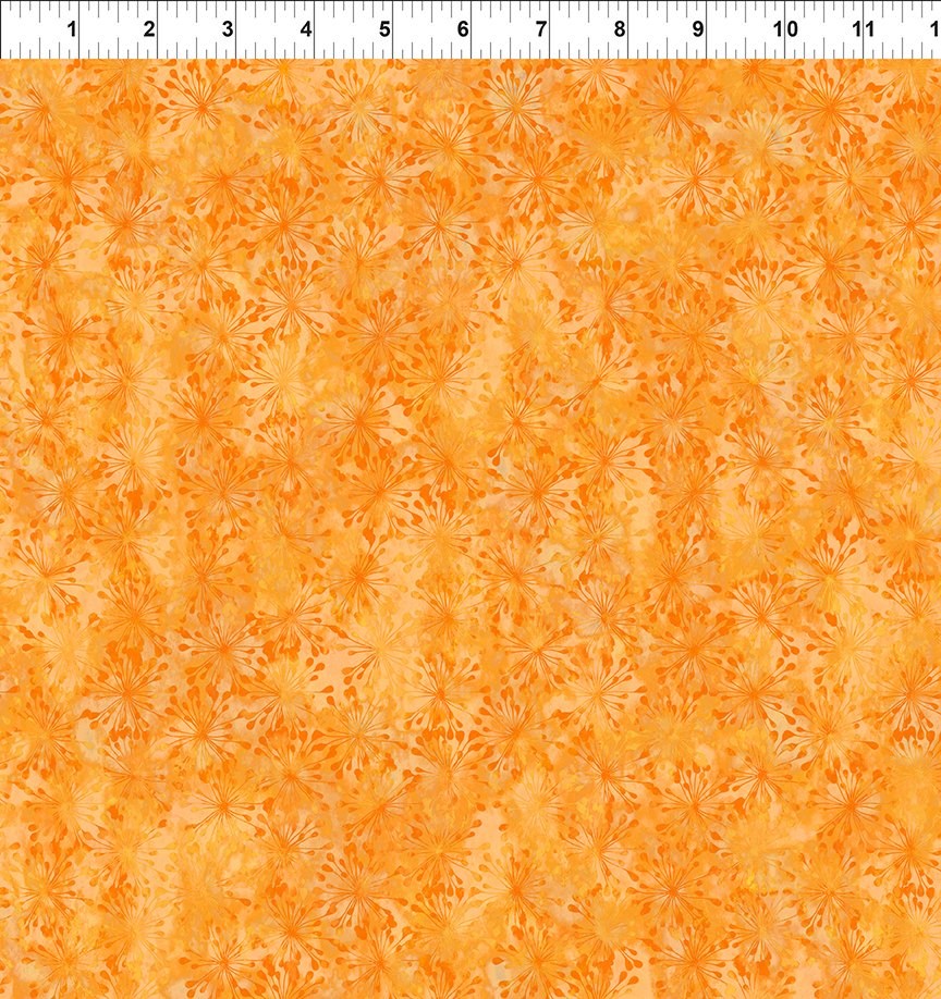 6SS-1 ll Sunshine
