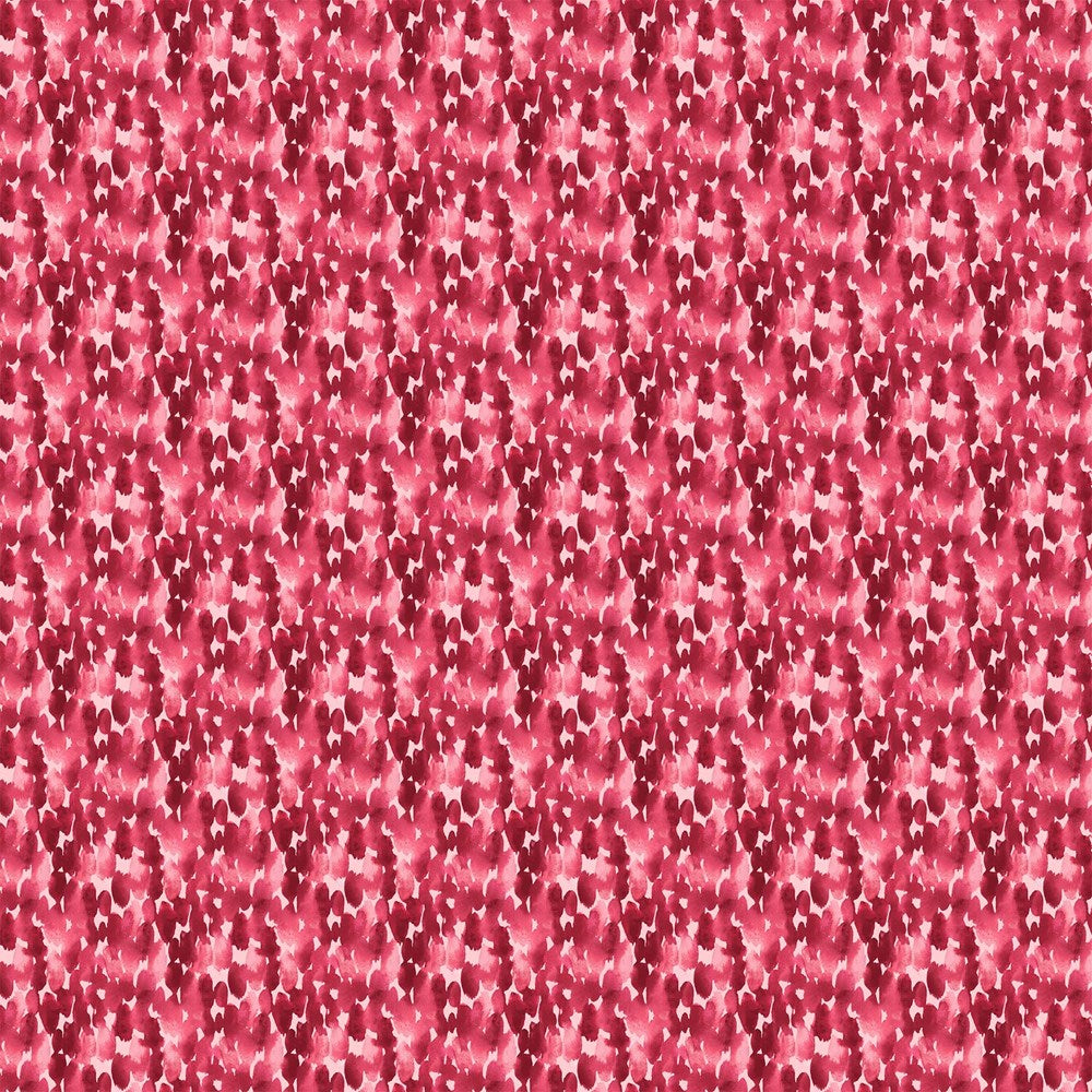DOTTY - BERRY II REFRESH