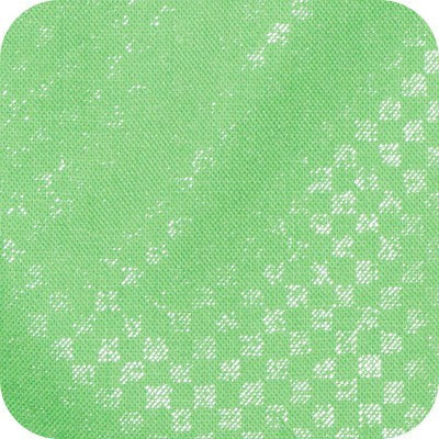 AFRH-21082-52 PISTACHIO II LANGUID