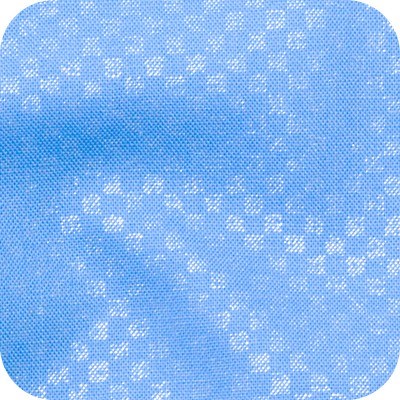 AFRH-21082-82 BLUE JAY II LANGUID