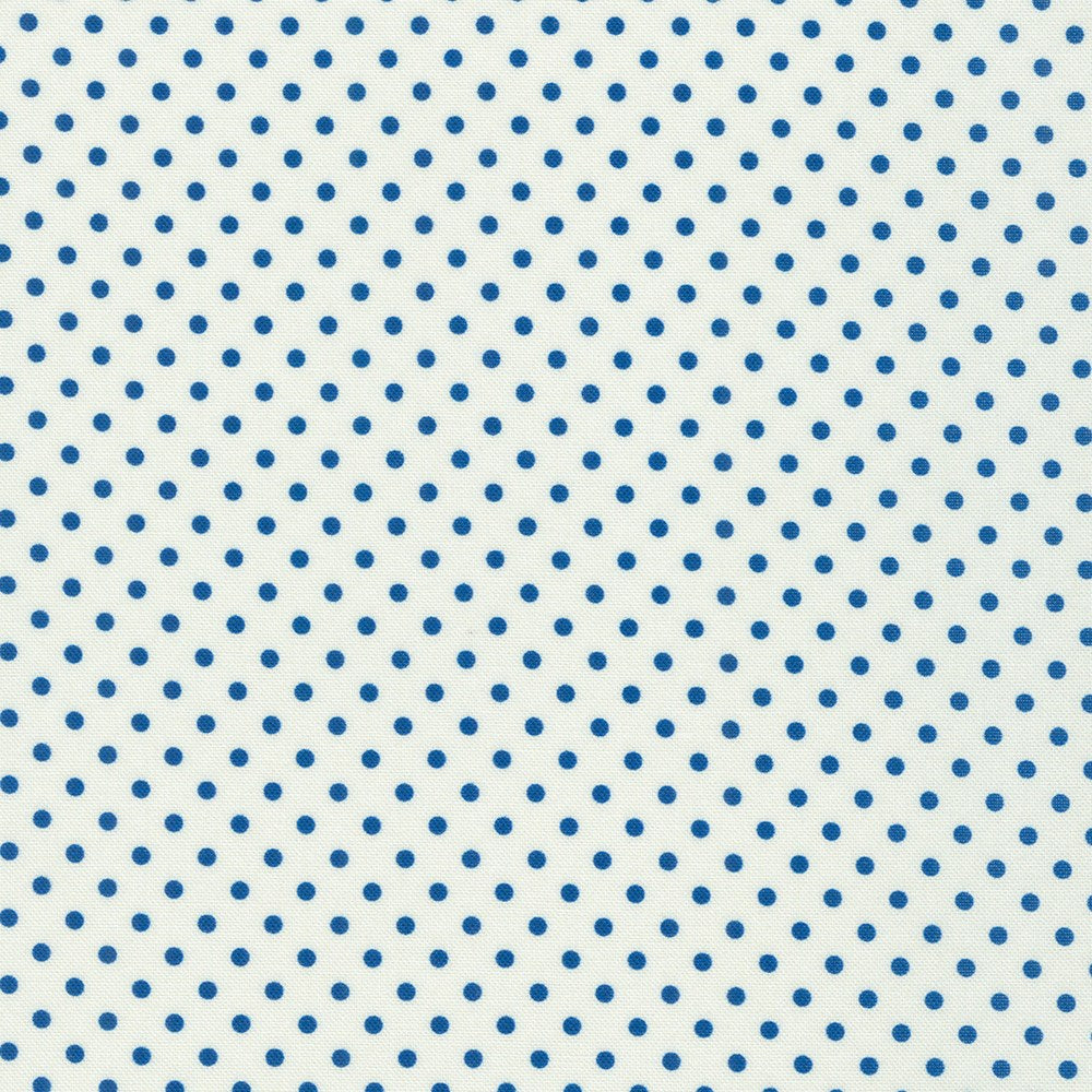 FLHD-21270-9 II DAISY&#39;S BLUEWORK