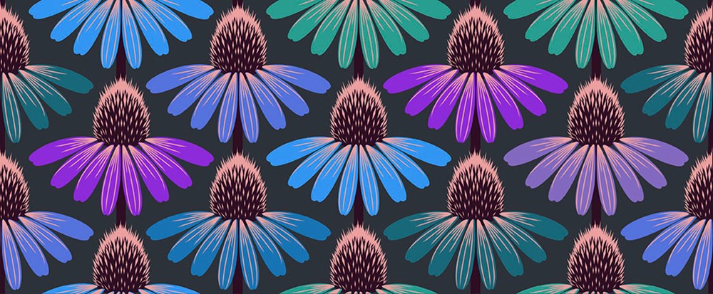 Echinacea Glow - Amethyst II Love Always II Anna Maria Horner
