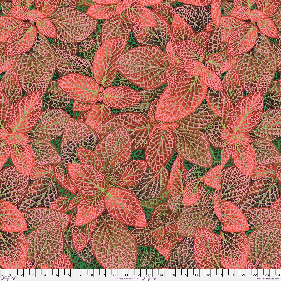 Fittonia - Red ll August 2024 ll Kaffe Fassett Collective