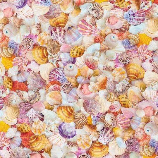 SRKD-20918-376 SHELL II IMAGININGS